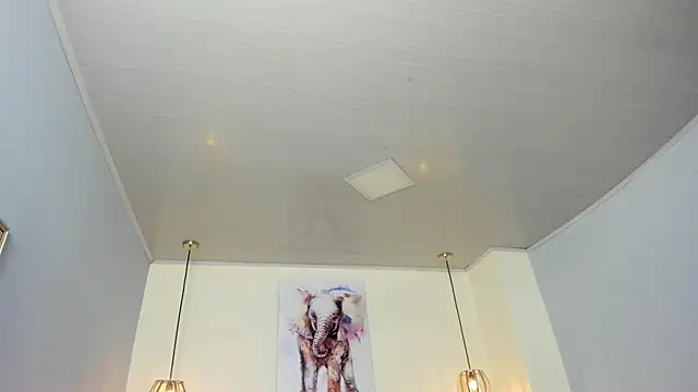 ayshel   online show from 04.15.26