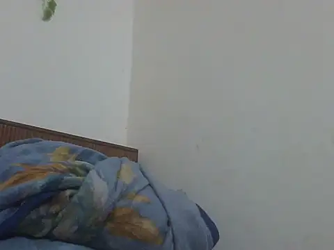 shekira99 online show from 04.17.26