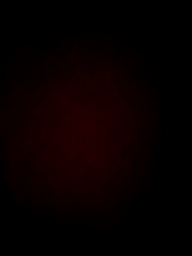 Chris8149 online show from 02.19.25