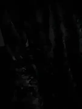 demonslayerr999 online show from 12.23.24