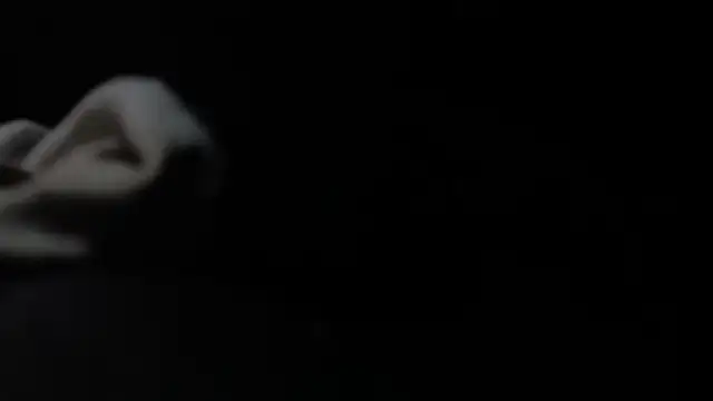 Snapshot of VARGAcz chatting on 02.04.26 VARGAcz online show from 02.04.26