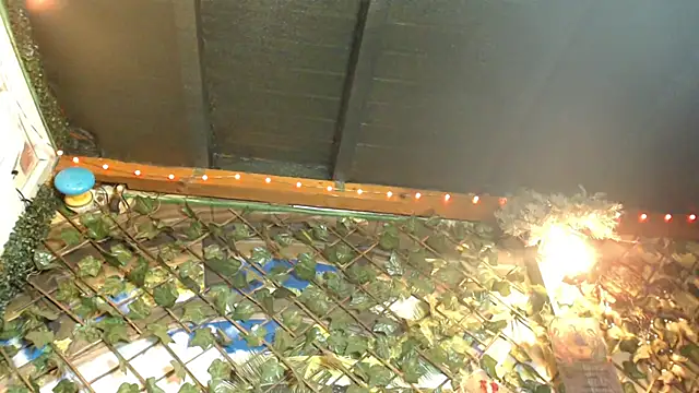 Bigboobs6930 online show from 01.24.25