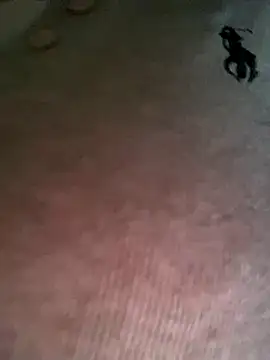 Snapshot of Ruby_bear chatting on 12.19.25 Ruby bear online show from 12.19.25