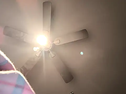 Snapshot of fransexdol chatting on 02.26.25 fransexdol online show from 02.26.25