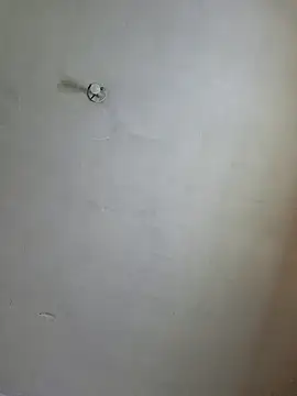 Ricorryxh online show from 12.14.24