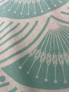 kannadatelugugirl online show from 01.01.25