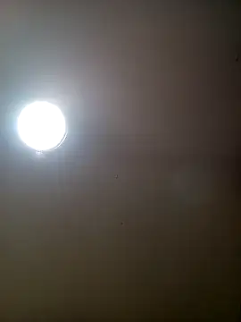 TrainedFinder5 online show from 09.30.25