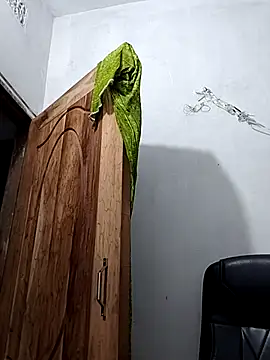 Ritusri Dotta online show from 02.27.25