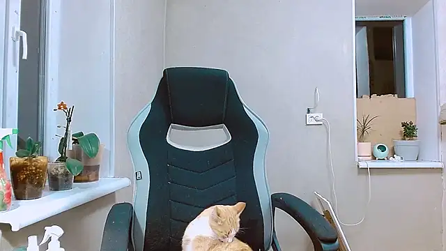 RosaJil online show from 09.13.25