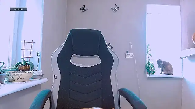 RosaJil online show from 02.11.26