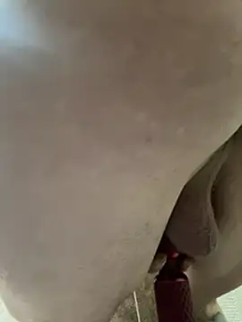 Followthepiper online show from 02.03.25