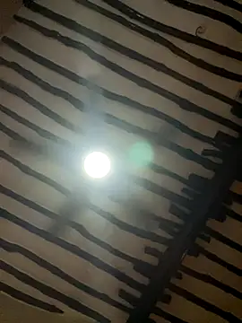 Snapshot of petiteebony_81 chatting on 11.26.25 petiteebony 81 online show from 11.26.25