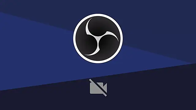 Snapshot of LonelyFlower chatting on 12.29.24 LonelyFlower online show from 12.29.24