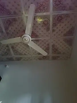 Dil-Ka-Radhika online show from 11.29.25