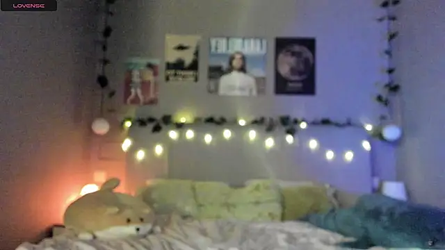 Snapshot of Anisawithlove chatting on 12.12.24 Anisawithlove online show from 12.12.24