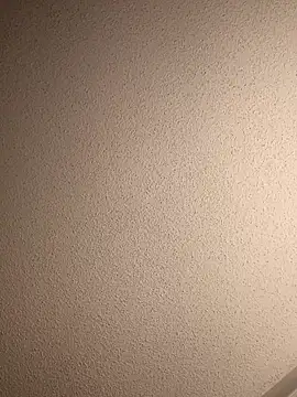 Treemandude online show from 09.13.25