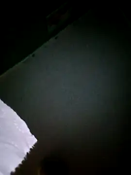 Treemandude online show from 03.23.26