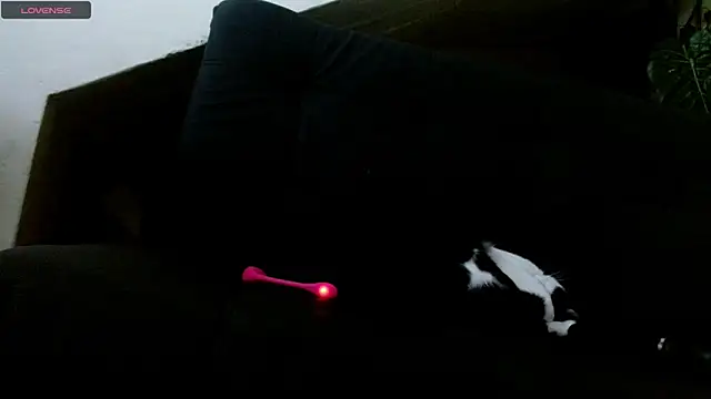 lady scarlettt online show from 02.18.25