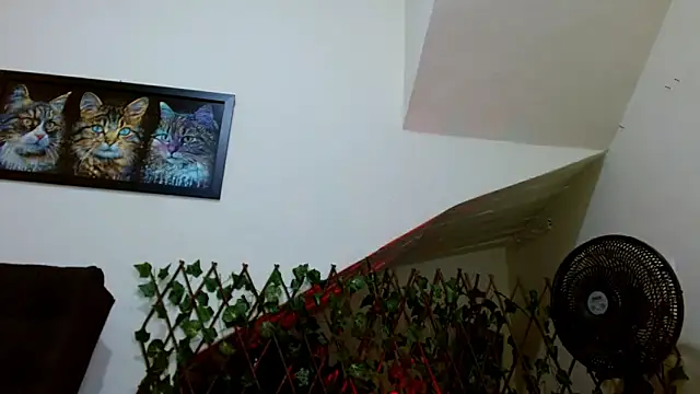 lady scarlettt online show from 02.23.25