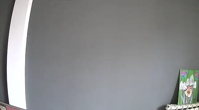 Snapshot of stupid_babybird chatting on 01.30.25 stupid babybird online show from 01.30.25