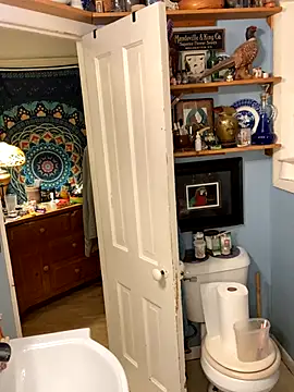 sexyasscougar online show from 10.06.25