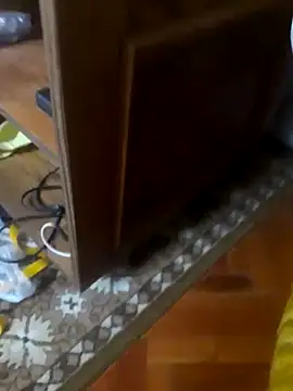 Snapshot of babyboy74 chatting on 10.10.25 babyboy74 online show from 10.10.25