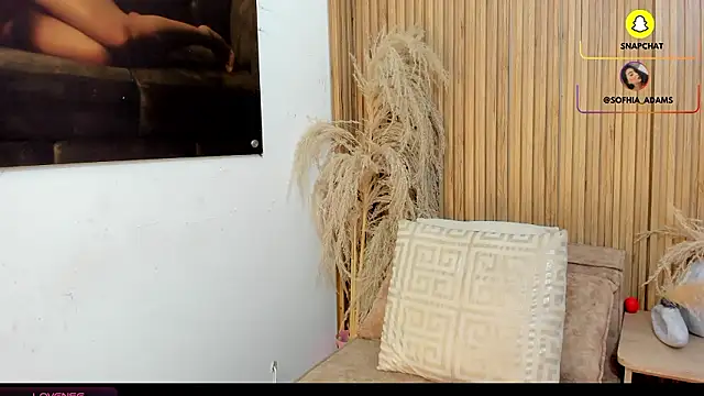 Snapshot of sofhiaa_adaams chatting on 02.20.26 sofhiaa adaams online show from 02.20.26