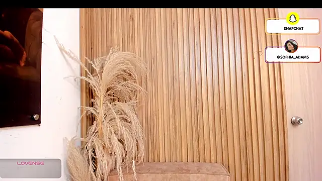 Snapshot of sofhiaa_adaams chatting on 02.22.26 sofhiaa adaams online show from 02.22.26