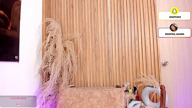 Snapshot of sofhiaa_adaams chatting on 02.27.26 sofhiaa adaams online show from 02.27.26