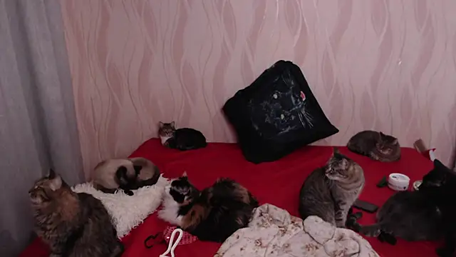 Olivia Winston online show from 12.28.24