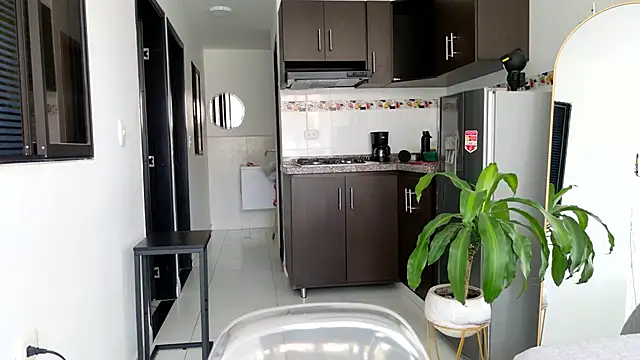 grey   27 online show from 02.22.25