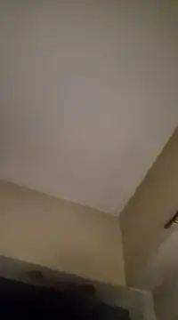 Snapshot of gala2 chatting on 01.19.25 gala2 online show from 01.19.25