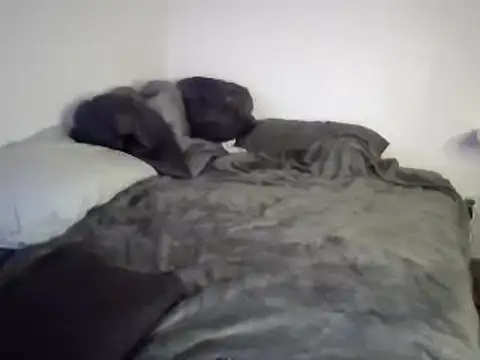 Iliketocooksquirt25 online show from 03.03.25