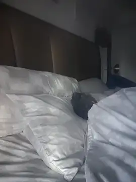 CeceilaMoon online show from 04.21.26