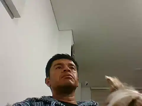 Snapshot of perxxxeo_ chatting on 10.11.25 perxxxeo online show from 10.11.25