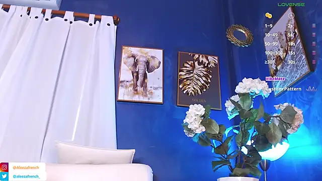 Snapshot of AleezaFrench chatting on 12.14.24 AleezaFrench online show from 12.14.24