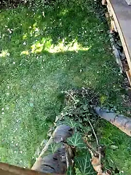 Lorent6969 online show from 03.07.25