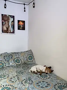 Snapshot of LiliJones_ chatting on 02.15.25 LiliJones online show from 02.15.25