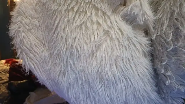 PropertyAndBiker online show from 12.06.24