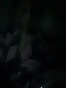 Snapshot of ChantalXOrchid chatting on 04.04.26 ChantalXOrchid online show from 04.04.26