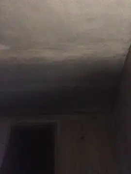 Snapshot of ChantalXOrchid chatting on 04.15.26 ChantalXOrchid online show from 04.15.26