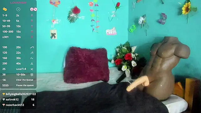 SheraHadee online show from 04.01.26