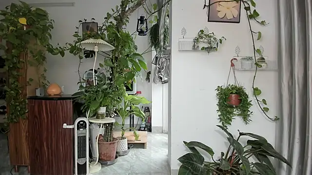 Oliver Nl online show from 03.03.26