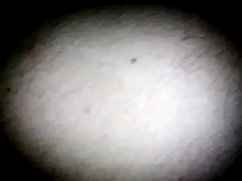 Snapshot of anald66666 chatting on 01.13.25 anald66666 online show from 01.13.25