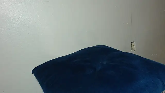 Dogz n daugthers online show from 12.20.24