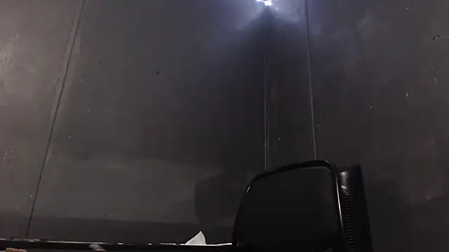 Dogz n daugthers online show from 01.29.25