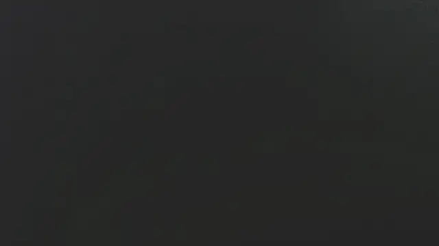 Dogz n daugthers online show from 02.02.25