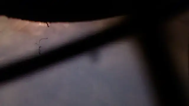 Cordt30 online show from 02.12.26