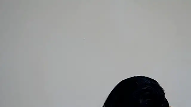 GiseleReine online show from 02.07.25