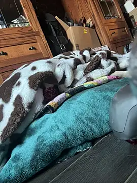 Snapshot of SexyB214 chatting on 03.07.25 SexyB214 online show from 03.07.25